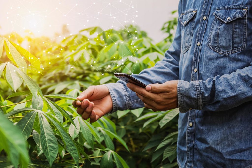 Notre cartographie des acteurs innovants l’Agritech qui révolutionnent le secteur de l’agriculture