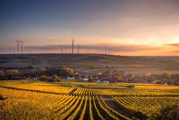 Image d'une champ avec éolienne à l'horizon